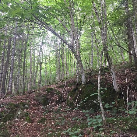 Chalet Nature Laurentides Val-des-Lacs Екстериор снимка