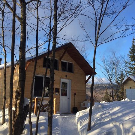 Chalet Nature Laurentides Val-des-Lacs Екстериор снимка