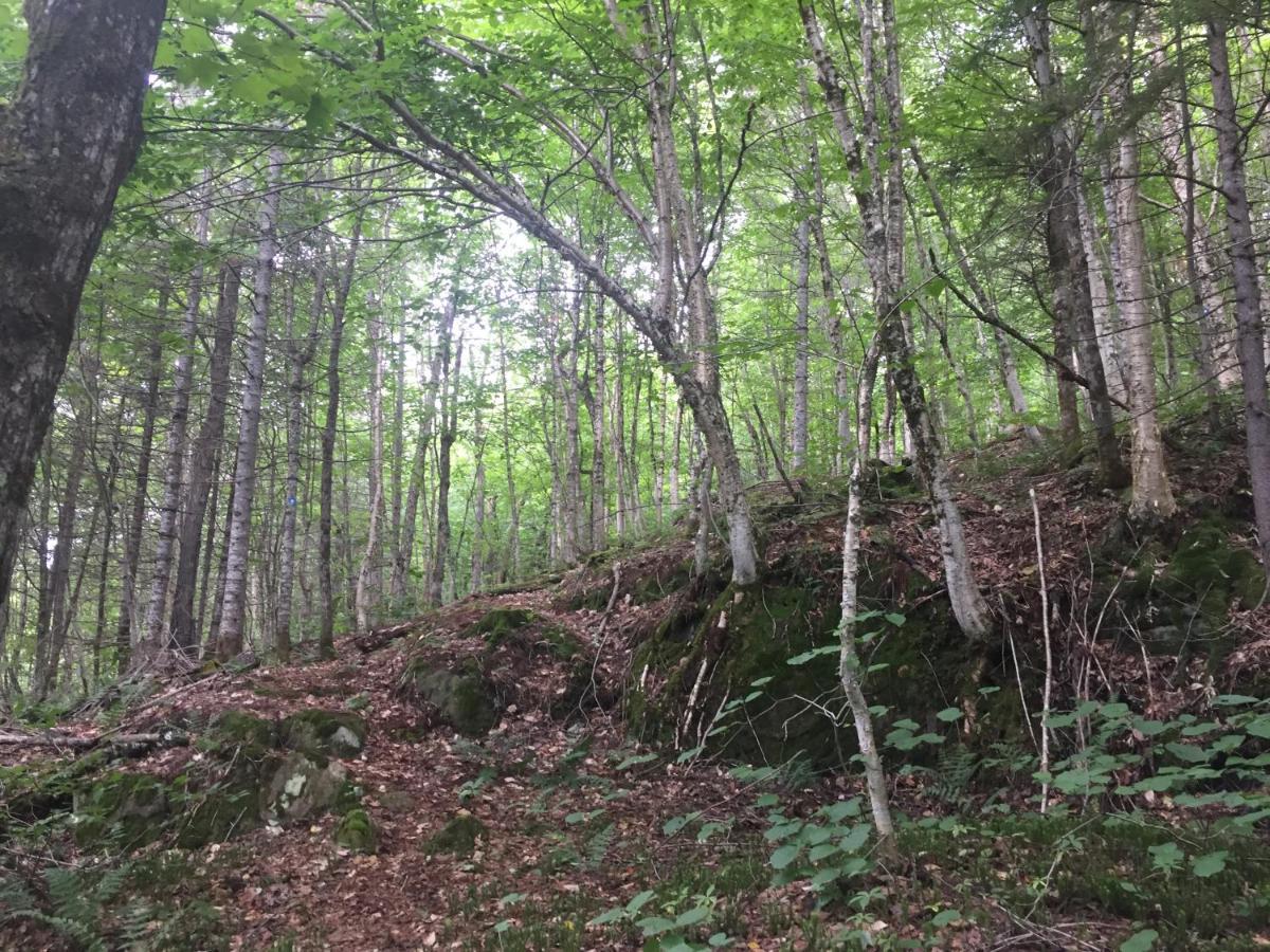 Chalet Nature Laurentides Val-des-Lacs Екстериор снимка