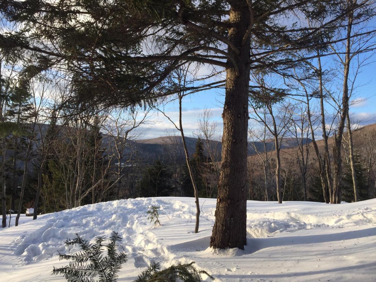 Chalet Nature Laurentides Val-des-Lacs Екстериор снимка